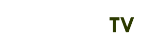 Https nuebe online casino - Phwin6